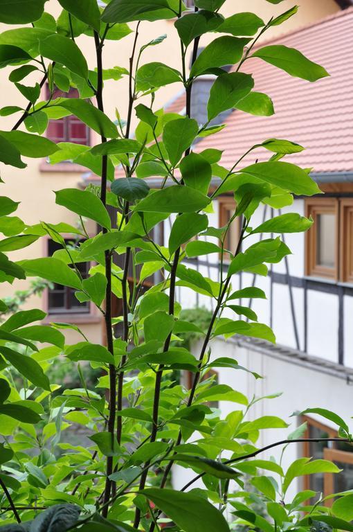Gastezimmer Am Hof Frankfurt am Main Eksteriør bilde